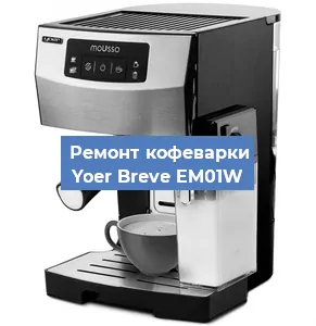 Ремонт кофемашины Yoer Breve EM01W в Челябинске